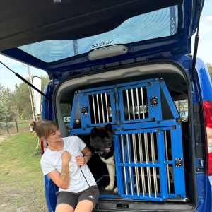 pet-transport